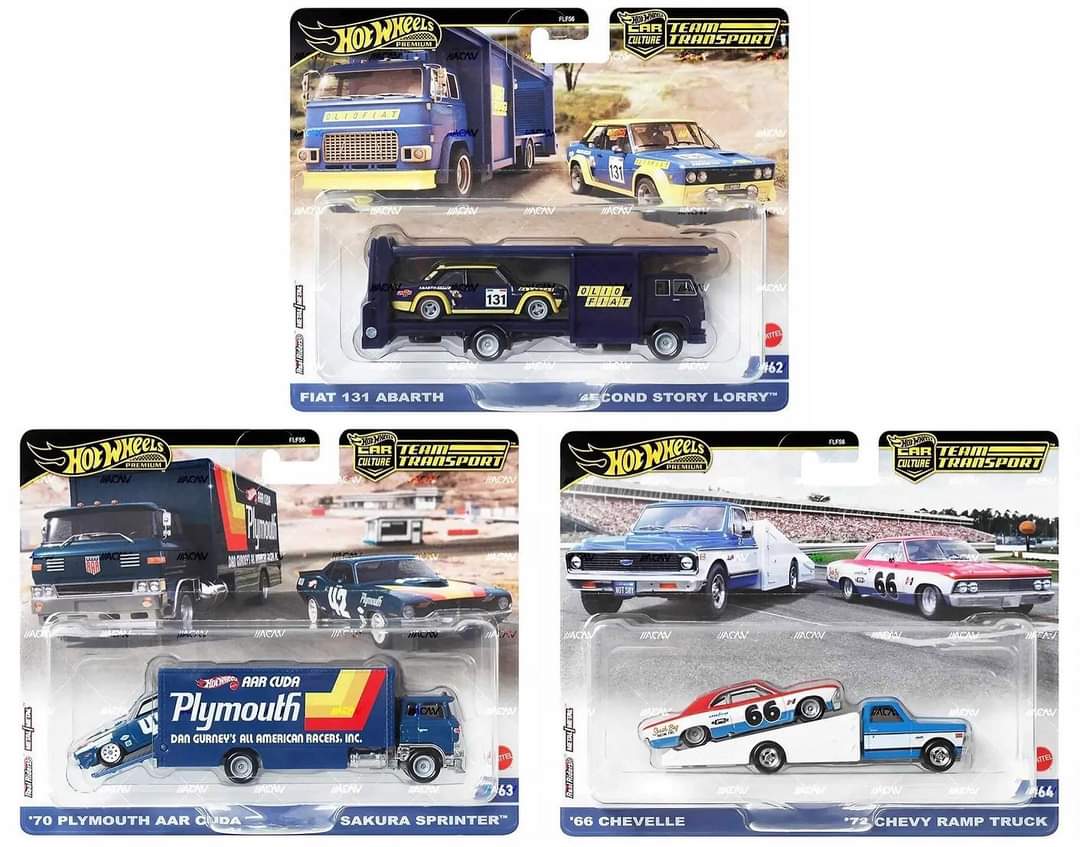 Hot Wheels 1:64 Team Transport 2024 A Case Assortment