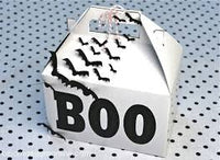 2024 October Chase Boo Box #10 RLC Favorites